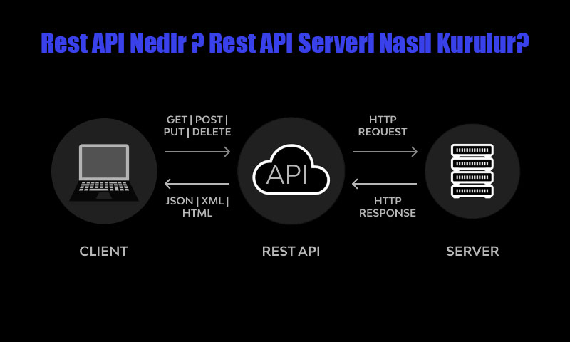 rest api nedir